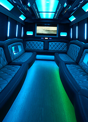 Port Huron party bus services